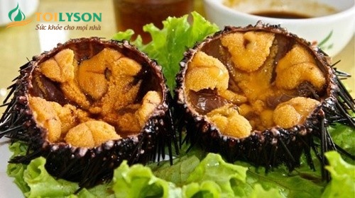 LÝ SƠN FOODS - Hải sản Lý Sơn, hành tỏi Lý Sơn, đặc sản Lý Sơn tại Tp. HCM, tại Hà nội, tại Đà Nẵng