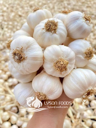 LÝ SƠN FOODS - Hải sản Lý Sơn, hành tỏi Lý Sơn, đặc sản Lý Sơn tại Tp. HCM, tại Hà nội, tại Đà Nẵng