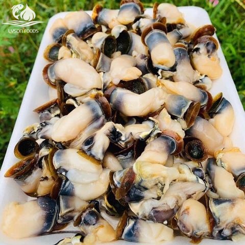 LÝ SƠN FOODS - Hải sản Lý Sơn, hành tỏi Lý Sơn, đặc sản Lý Sơn tại Tp. HCM, tại Hà nội, tại Đà Nẵng