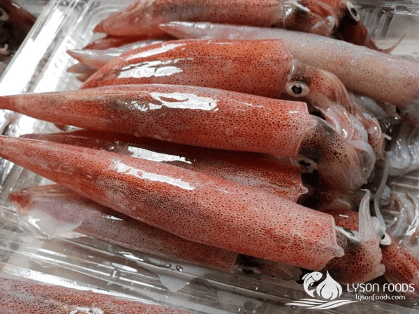 LÝ SƠN FOODS - Hải sản Lý Sơn, hành tỏi Lý Sơn, đặc sản Lý Sơn tại Tp. HCM, tại Hà nội, tại Đà Nẵng