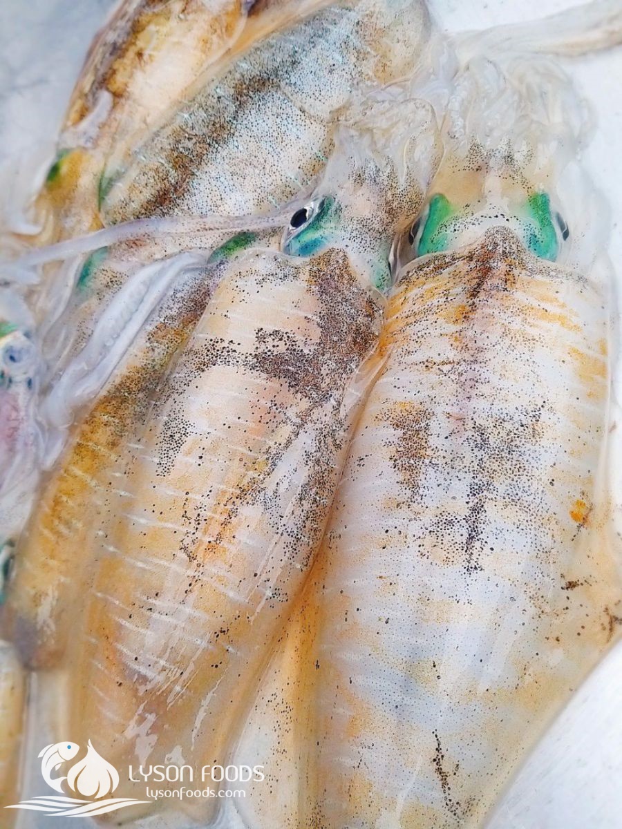 LÝ SƠN FOODS - Hải sản Lý Sơn, hành tỏi Lý Sơn, đặc sản Lý Sơn tại Tp. HCM, tại Hà nội, tại Đà Nẵng