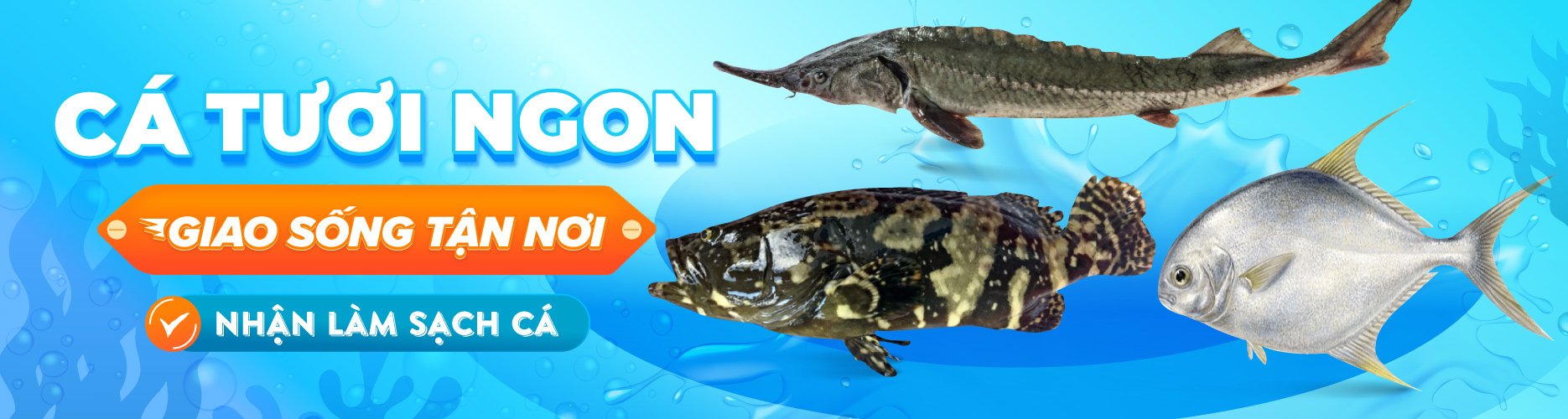 LÝ SƠN FOODS - Hải sản Lý Sơn, hành tỏi Lý Sơn, đặc sản Lý Sơn tại Tp. HCM, tại Hà nội, tại Đà Nẵng