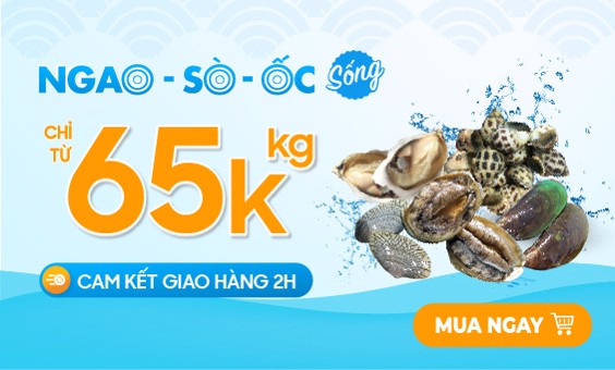 Banner bên phải banner slider 02