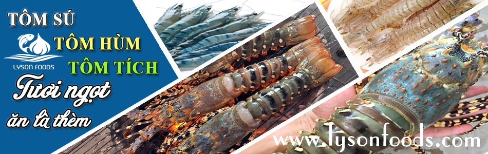 banner dưới silde