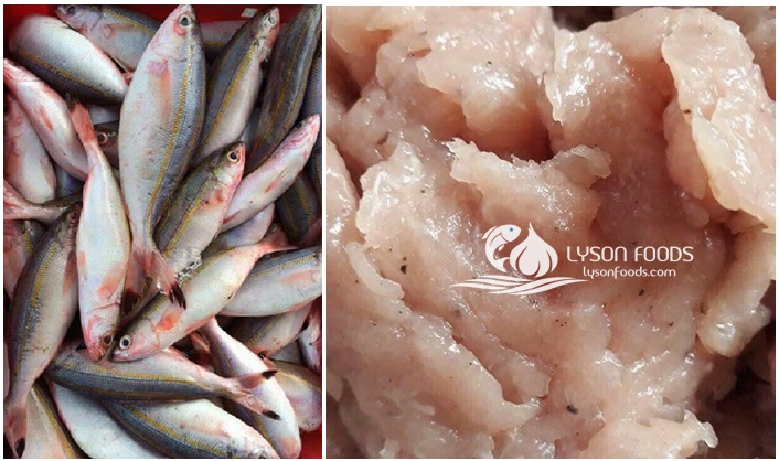 LÝ SƠN FOODS - Hải sản Lý Sơn, hành tỏi Lý Sơn, đặc sản Lý Sơn tại Tp. HCM, tại Hà nội, tại Đà Nẵng