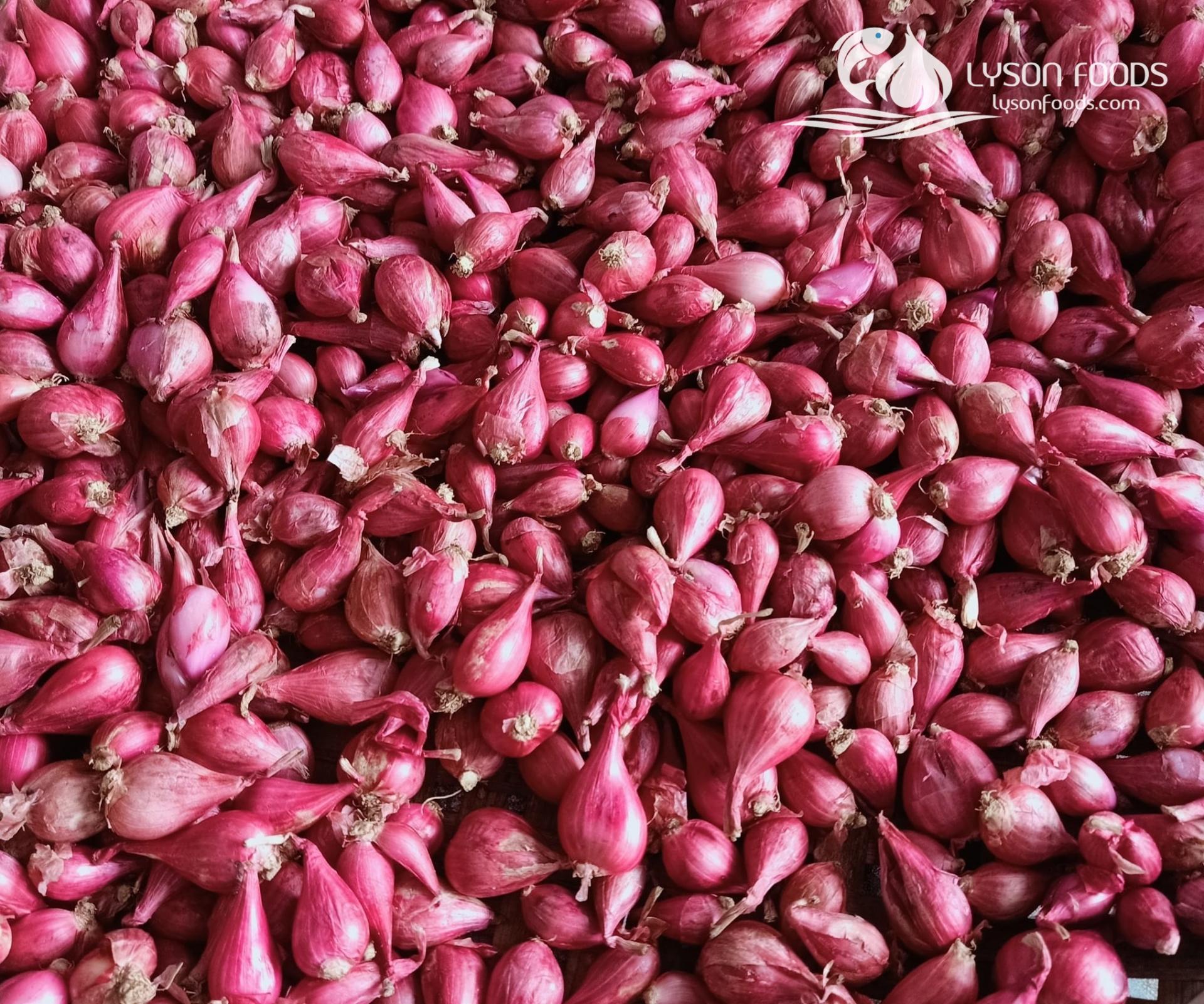 LÝ SƠN FOODS - Hải sản Lý Sơn, hành tỏi Lý Sơn, đặc sản Lý Sơn tại Tp. HCM, tại Hà nội, tại Đà Nẵng