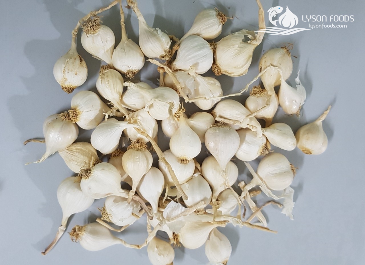 LÝ SƠN FOODS - Hải sản Lý Sơn, hành tỏi Lý Sơn, đặc sản Lý Sơn tại Tp. HCM, tại Hà nội, tại Đà Nẵng