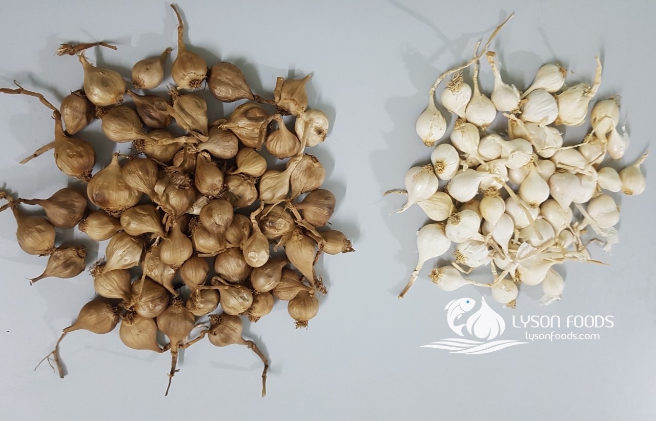 LÝ SƠN FOODS - Hải sản Lý Sơn, hành tỏi Lý Sơn, đặc sản Lý Sơn tại Tp. HCM, tại Hà nội, tại Đà Nẵng