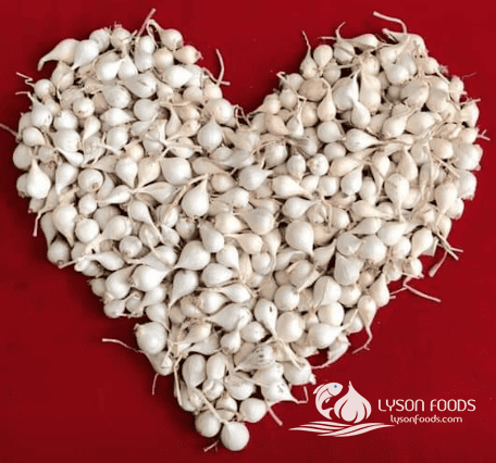 LÝ SƠN FOODS - Hải sản Lý Sơn, hành tỏi Lý Sơn, đặc sản Lý Sơn tại Tp. HCM, tại Hà nội, tại Đà Nẵng