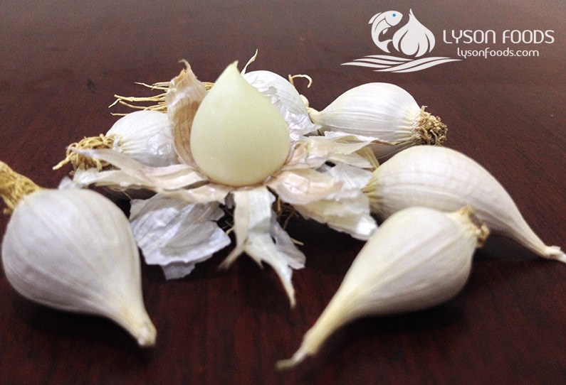 LÝ SƠN FOODS - Hải sản Lý Sơn, hành tỏi Lý Sơn, đặc sản Lý Sơn tại Tp. HCM, tại Hà nội, tại Đà Nẵng