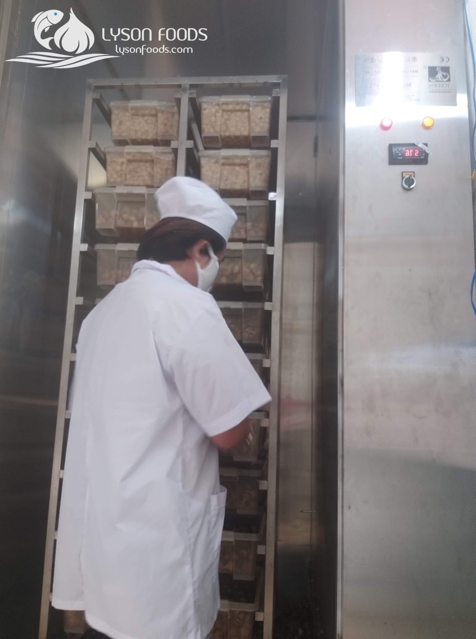 LÝ SƠN FOODS - Hải sản Lý Sơn, hành tỏi Lý Sơn, đặc sản Lý Sơn tại Tp. HCM, tại Hà nội, tại Đà Nẵng