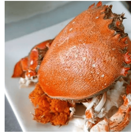 LÝ SƠN FOODS - Hải sản Lý Sơn, hành tỏi Lý Sơn, đặc sản Lý Sơn tại Tp. HCM, tại Hà nội, tại Đà Nẵng