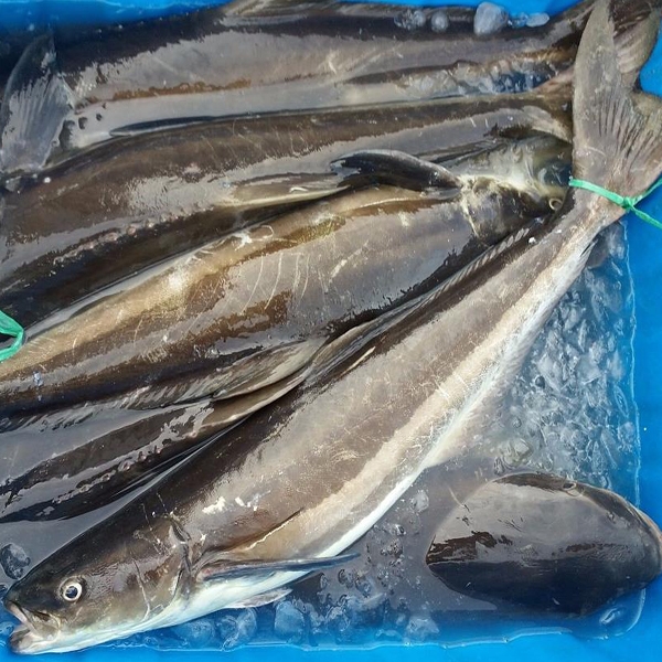 LÝ SƠN FOODS - Hải sản Lý Sơn, hành tỏi Lý Sơn, đặc sản Lý Sơn tại Tp. HCM, tại Hà nội, tại Đà Nẵng