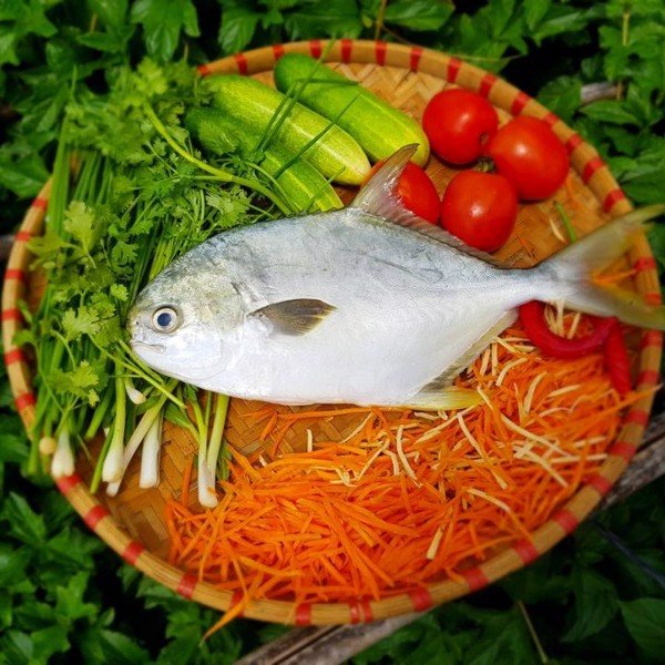 LÝ SƠN FOODS - Hải sản Lý Sơn, hành tỏi Lý Sơn, đặc sản Lý Sơn tại Tp. HCM, tại Hà nội, tại Đà Nẵng