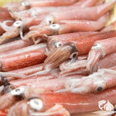 Mực ghim trứng Lý Sơn